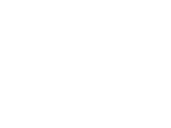 RG Academy